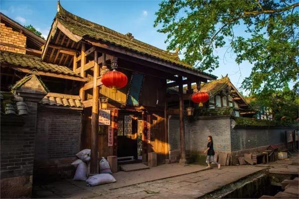 4个要点，手把手教你存出优质老白茶，居家存茶必备攻略